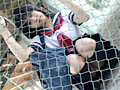 乙女学園 身体検査をもう一度 パンチラ大全集