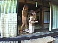 緊○放置大全1