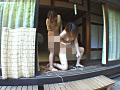 緊○放置4