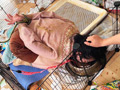 虐○・売春どっぐ 少女は犬。エサは性暴○。 市井結夏