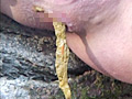 嗚咽！！狂気野外脱糞物語2