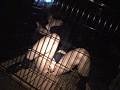 ○○映像記録集 第五巻