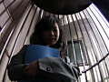 野外調○日誌 視聴者投稿