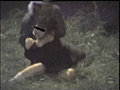 シャリラ ○○○ スペシャルベスト