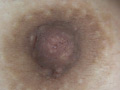 100人の乳首 第3集