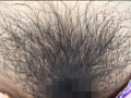 100人のまん毛 第3集