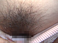 100人のまん毛 第4集