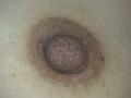100人の乳首 第5集