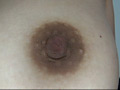 100人の乳首 第5集