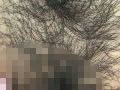 100人のまん毛 第6集
