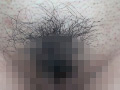 100人のまん毛 第6集