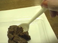 私たち脱糞マニアが収集した映像 脱糞記録
