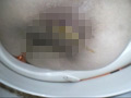 私たち脱糞マニアが収集した映像 脱糞記録