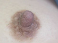 100人の乳首 第12集