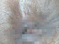 100人の尻穴 第7集