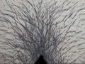 100人のまん毛 第9集