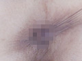 100人の尻穴 第8集