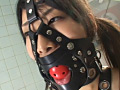 SM軍事医療研究所