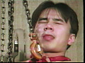 ビロードの舌仕事 後編