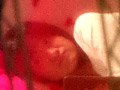 とある民家の観察日記 覗き見る女子の暮らし