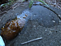 脱糞○撮01 海の家の裏で我慢しきれず脱糞 3名