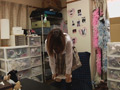 染みパンオナニー4
