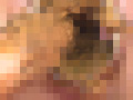 うんこSEX