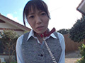 OLの野外脱糞調○