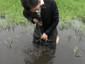 内定辞退の代償