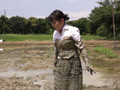 泥まみれの卒業研究