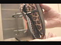 シューズコレクション Vol.2 サンダル・パンプス編