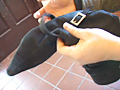 シューズコレクション Vol.13 ブーツ編