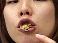 THE CRUSH STICKYマウス編 vol.1