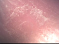 わたしのあしのうら3
