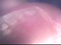 わたしのあしのうら3