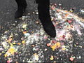 フィールドプレイクラッシュ VOL.6