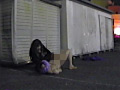愛玩の罠 Trap Vol.3