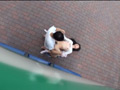疑う事を知らず○○○山行きバスに乗り込んだ少女達
