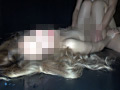 完全ガチンコ騙し 連続○制ド貧乳幼ギャル○○02