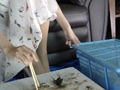 アイドル級美少女のカブトCRUSHピンクのハイヒール編6