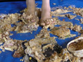 アイドル級美少女の裸足で弁当クラッシュ その3