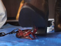 みくちゃんのショートブーツでザリガニクラッシュ1