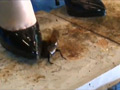 あかりちゃんのハイヒールでカブクワクラッシュ VOL1