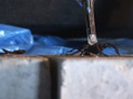 あかりのサンダルストッキングでカブクワクラッシュ 2