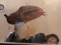 ザリガニクラッシュ＆アクリル板でクラッシュ