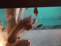 みくちゃんの裸足で金魚CRUSH vol4