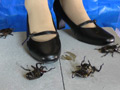 復刻版めいの私服パンプスでカブトム○クラッシュ VOL1