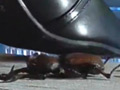 復刻版めいの私服パンプスでカブトム○クラッシュ VOL3