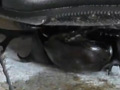 復刻版めいの私服パンプスでカブトム○クラッシュ VOL6