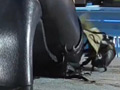復刻版めいの私服パンプスでカブトム○クラッシュ VOL6